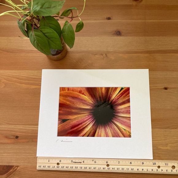 New Original Signed Photography - Picture 4 of 4